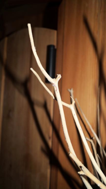 Villa Anina コッラルボ エクステリア 写真